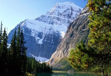 雷火电竞比赛比分-关于拜仁慕尼黑客场大胜霍芬海姆，德甲称霸者再展威风的信息